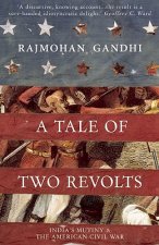 Tale of Two Revolts - India's Mutiny and The American Civil War