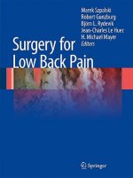 Surgery for Low Back Pain