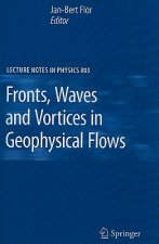 Fronts, Waves and Vortices in Geophysical Flows