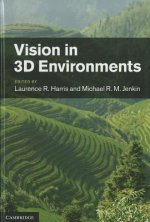 Vision in 3D Environments