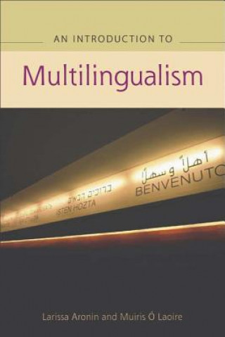 Advanced Guide to Multilingualism