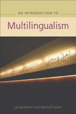Advanced Guide to Multilingualism