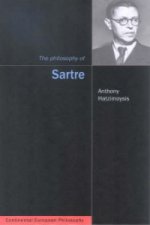 Philosophy of Sartre