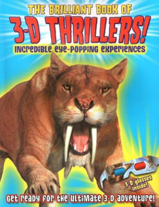 Brilliant Book of 3D Thrillers!