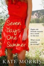 Seven Days One Summer