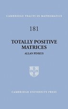 Totally Positive Matrices