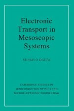 Electronic Transport in Mesoscopic Systems