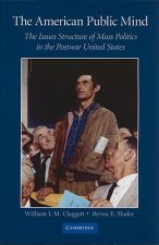 American Public Mind