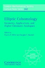 Elliptic Cohomology