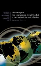 Concept of Non-International Armed Conflict in International Humanitarian Law