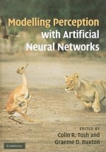 Modelling Perception with Artificial Neural Networks