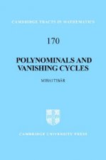 Polynomials and Vanishing Cycles