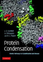 Protein Condensation