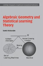 Algebraic Geometry and Statistical Learning Theory