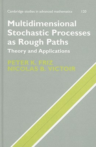 Multidimensional Stochastic Processes as Rough Paths