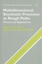 Multidimensional Stochastic Processes as Rough Paths
