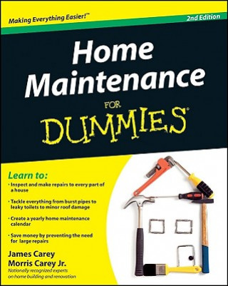 Home Maintenance For Dummies 2e (Carey)(Brožovaná)