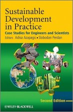 Sustainable Development in Practice - Case Studies  for Engineers and Scientists 2e