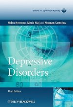 Depressive Disorders 3e - WPA Series Evidence and Experience in Psychiatry