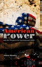 American Power and the Prospects for International  Order