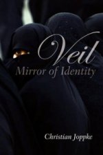 Veil - Mirror of Identity