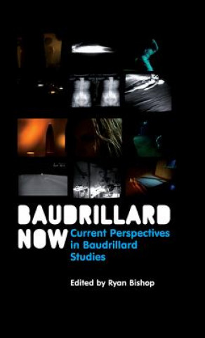 Baudrillard Now - Current Perspectives in Baudrillard Studies