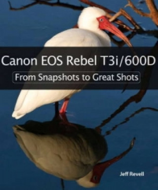 Canon EOS Rebel T3i / 600D