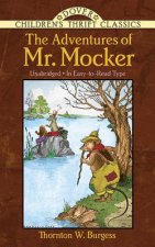 Adventures of Mr. Mocker
