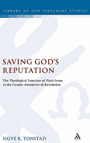 Saving God's Reputation