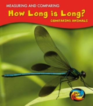 How Long Is Long?