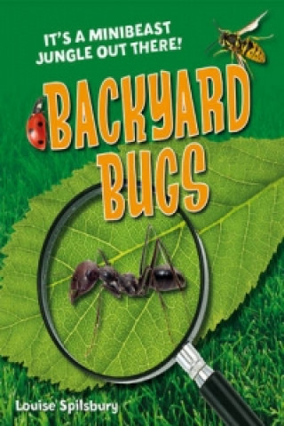 Backyard Bugs
