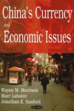 China's Currency & Economic Issues