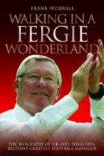 Walking In A Fergie Wonderland