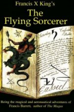 Flying Sorcerer