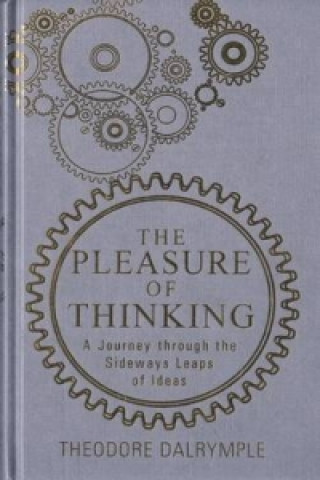 Pleasure of Thinking