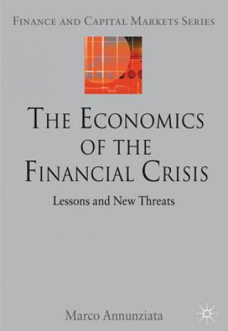 Economics of the Financial Crisis