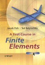 First Course in Finite Elements +CD
