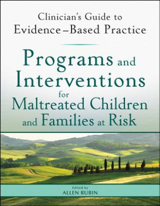 Programs and Interventions for Maltreated Children and Families at Risk