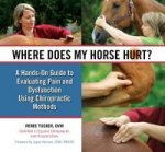 Where Does My Horse Hurt?
