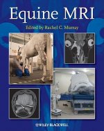 Equine MRI