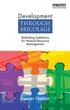 Development Through Bricolage