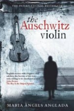 Auschwitz Violin
