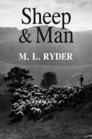 Sheep and Man
