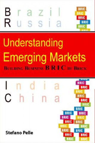 Understanding Emerging Markets
