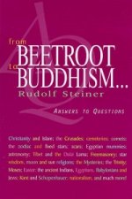 From Beetroot to Buddhism