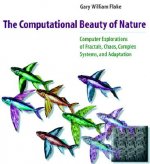 Computational Beauty of Nature