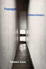 Passages in Modern Sculpture