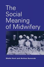 Social Meaning of Midwifery