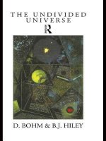 Undivided Universe