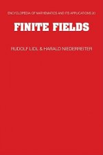 Finite Fields